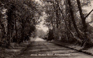 Old Postcard of Station Road, Dormansland